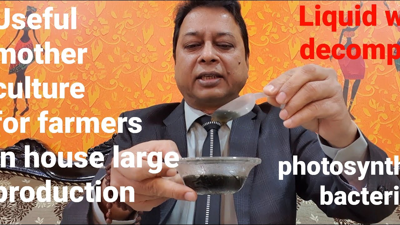 English Liquid waste decomposer#OWDC  useful Photosynthesis bacteria first time in any composition