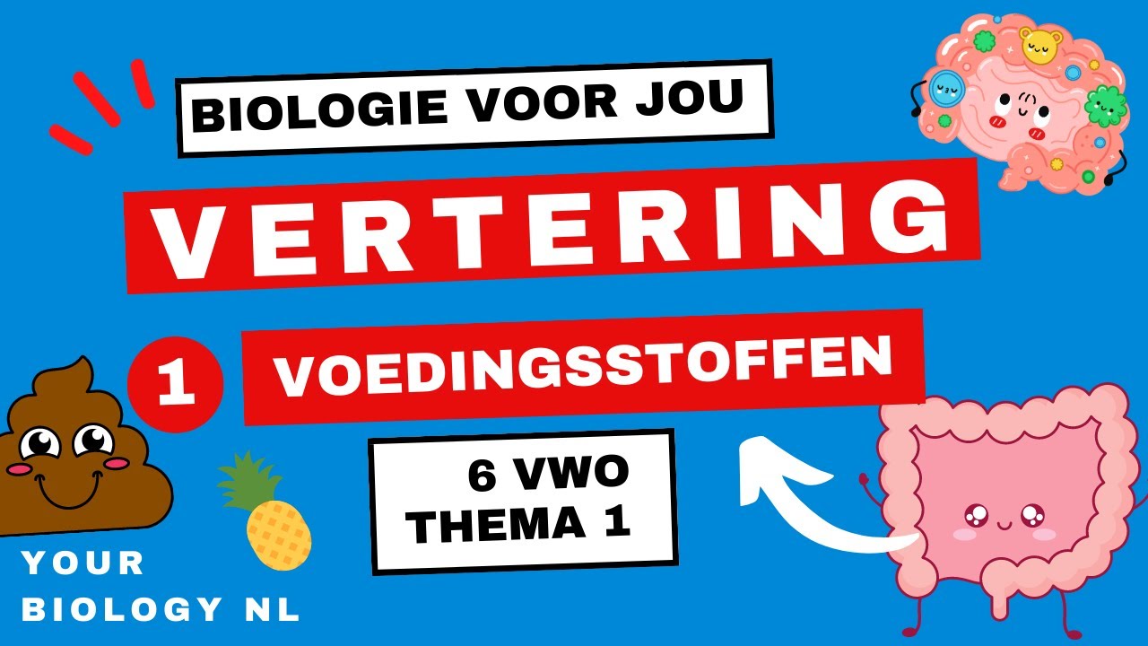 6 vwo | Vertering | 1 | Voedingsstoffen