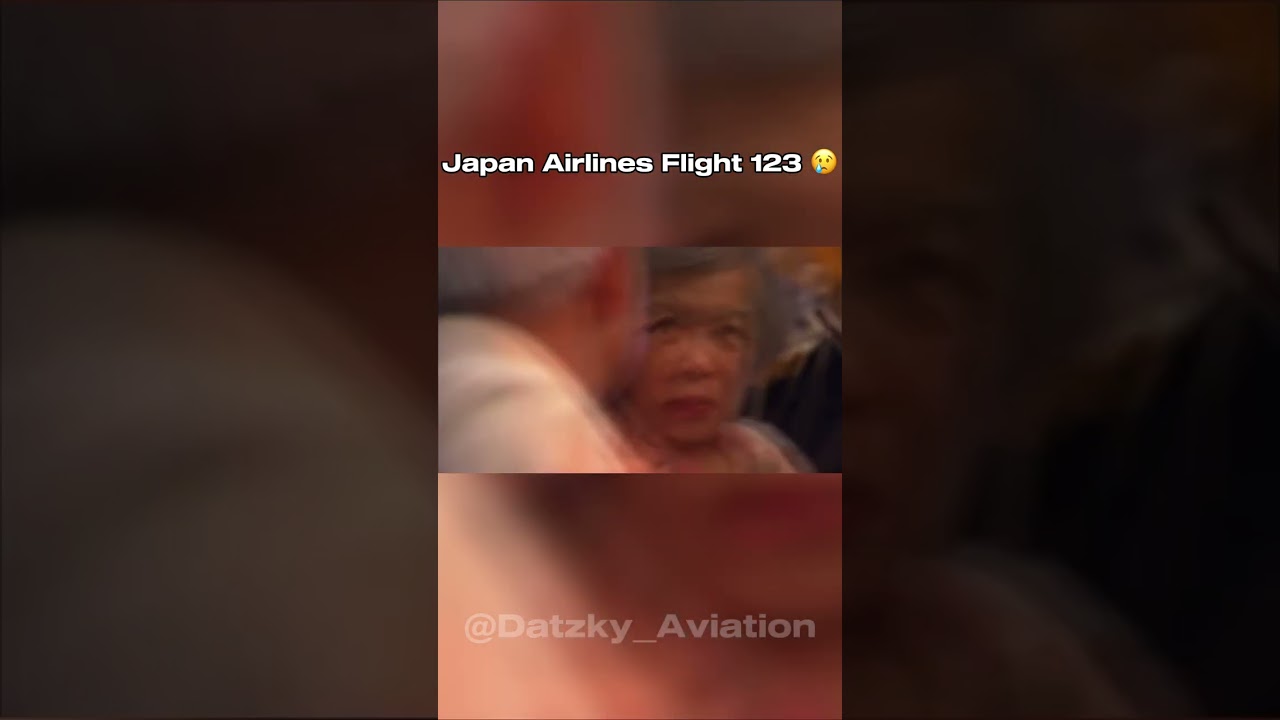 Japan Airlines Flight 123 😢