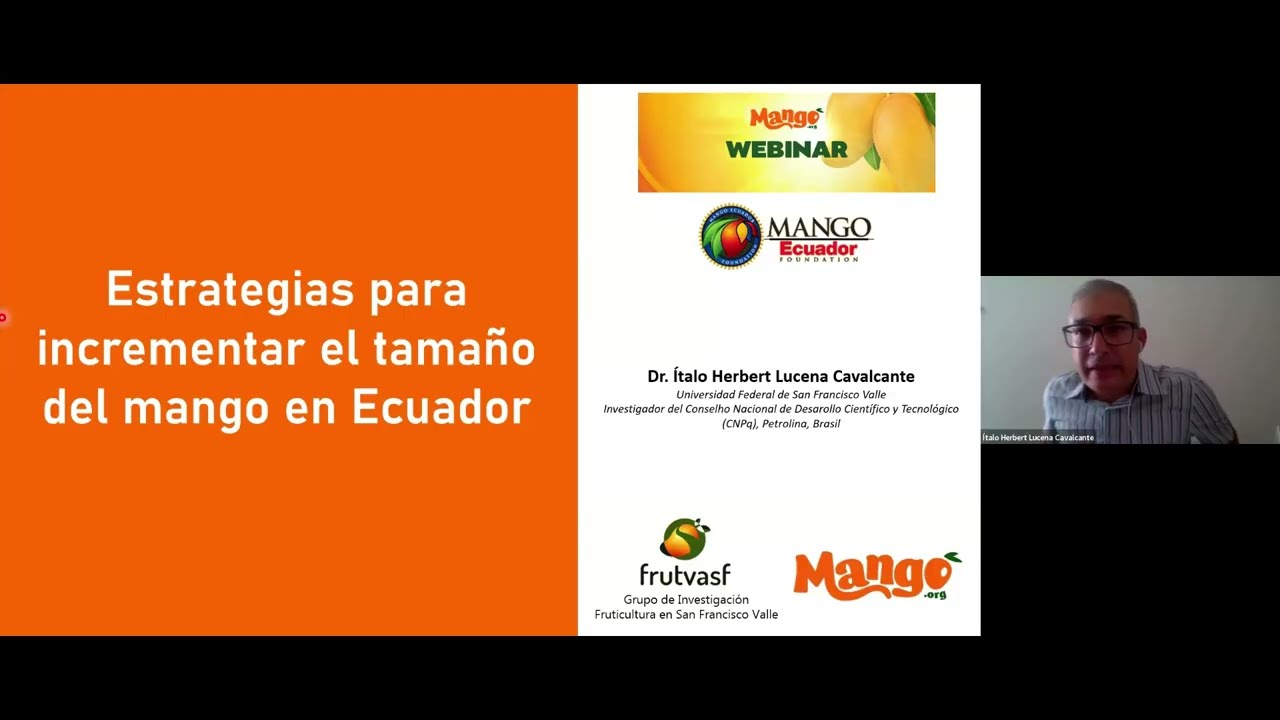 Strategies to Improve Mango Fruit Size and Uniformity in Ecuador