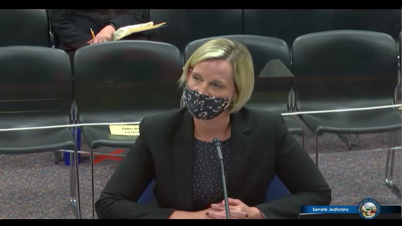 Heather Korbulic & Jolie Brislin Nevada Senate testimony on anti-doxxing bill (Recorded 4 26 2021)