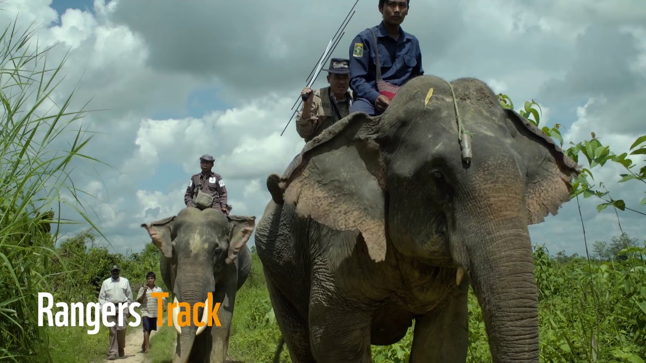 British ambassador to Burma H.E. Daniel Chugg becomes a ranger for a day