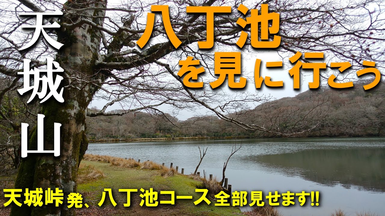 【登山体験】天城山、天城トンネルからのロングコースでゆく！／八丁池コースの登山道全部見せます！／2024/04
