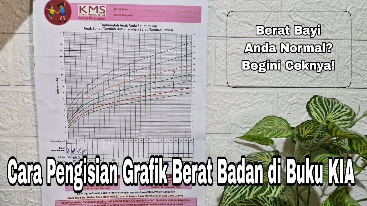 Cara Pengisian Grafik Berat Badan di Buku KIA