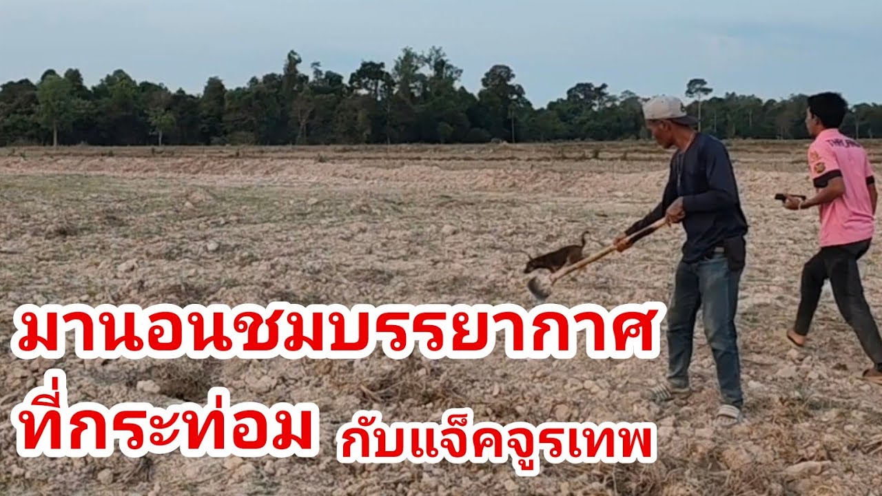 วันนี้พามานอนชมบรรยากาศอยู่กระท่อมนาดงหนองมะกอก กับแจ็คจูรเทพ 14/3/2569 | เด่นเดินดง