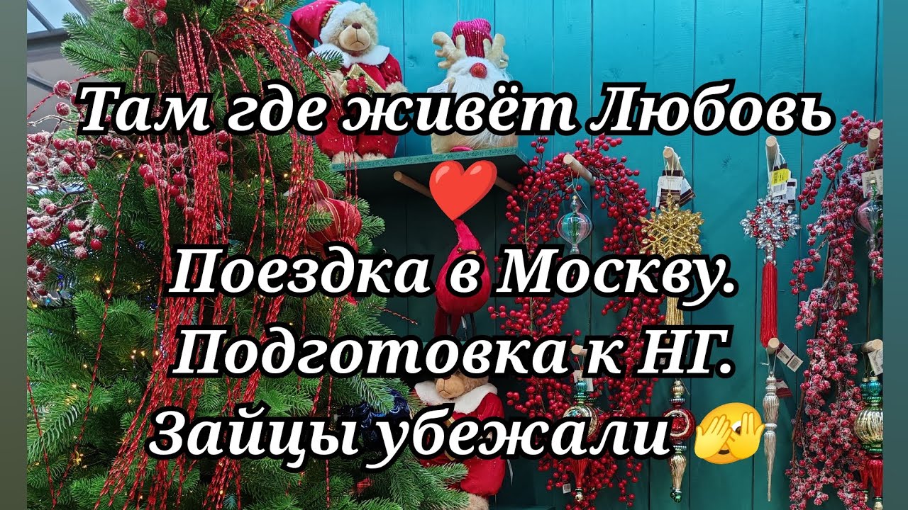 #80 Поездка в Москву. Подготовка к Новому Году. Зайцы убежали. 