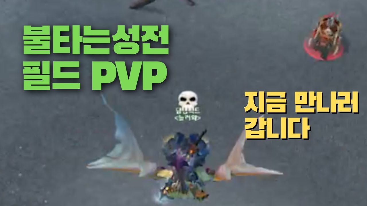 불타는성전에서 필드PVP 전투! 전사, 드루 vs 사제, 드루 (와우클래식)