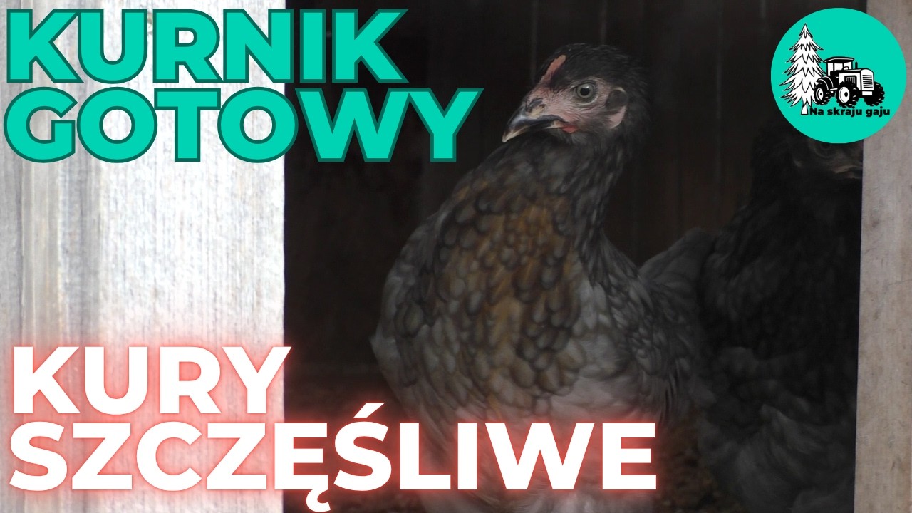 Kurnik i wybieg dla kur gotowe. 3 dni pracy i wielkie zadowolenie.