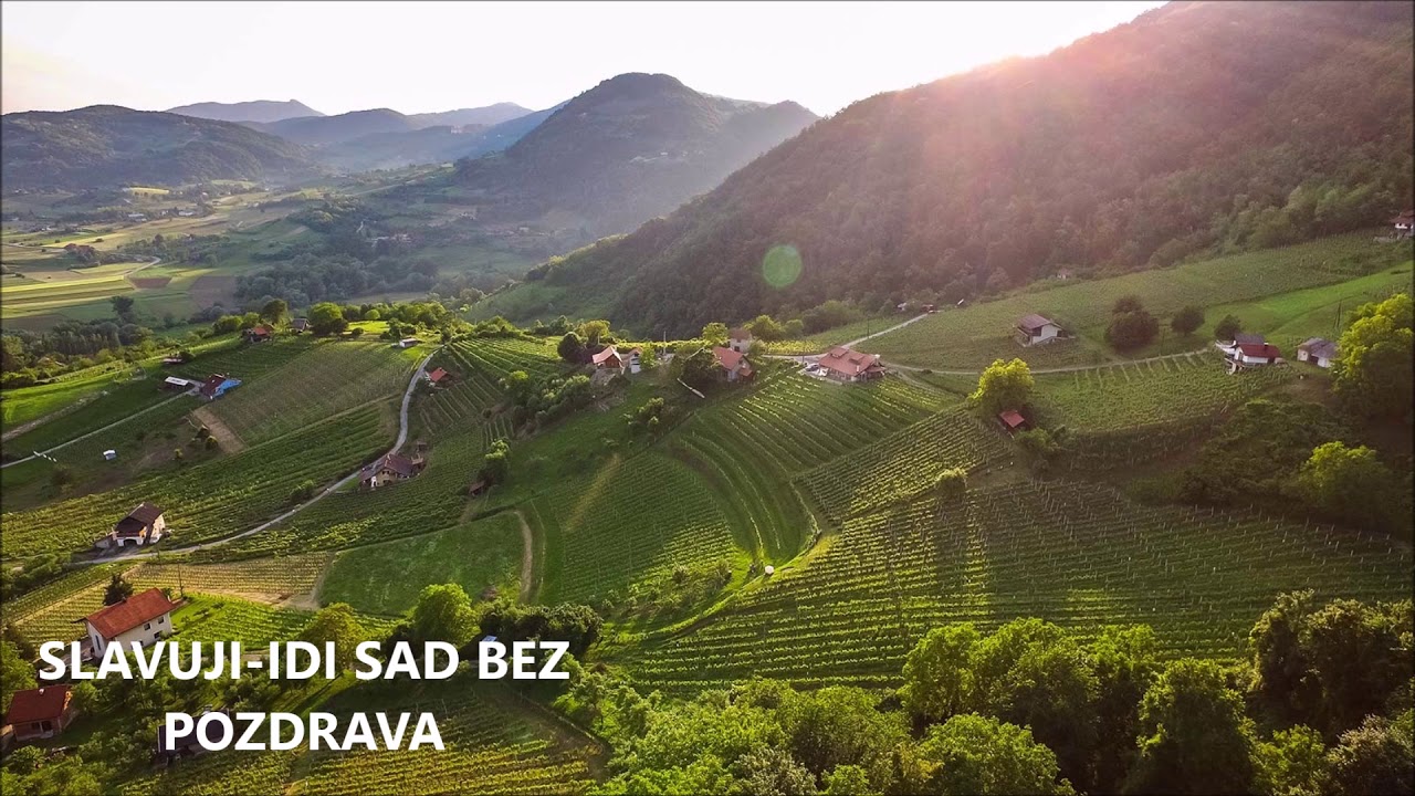 Slavuji - idi sad bez pozdrava