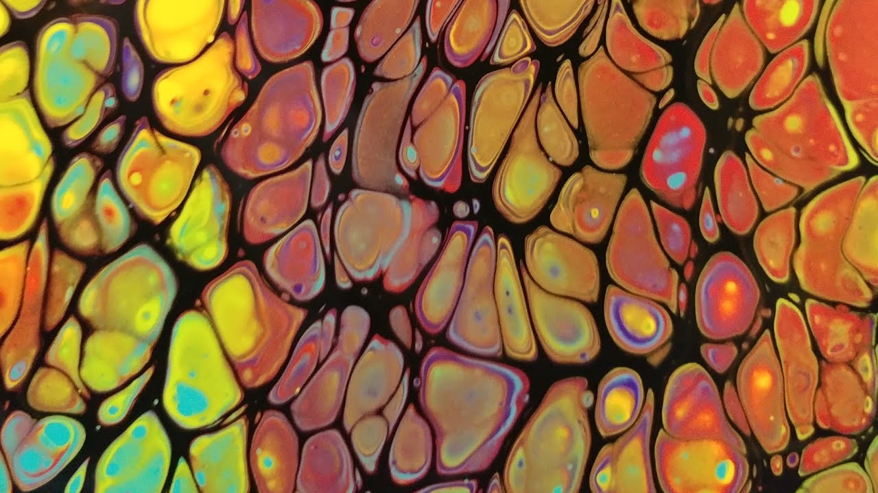 Successful Swipes! Finally!!! (123)