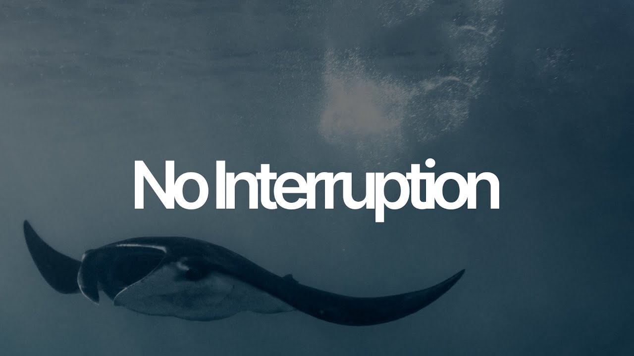 No interruption - HUSH (Official Music Lyrics Video)