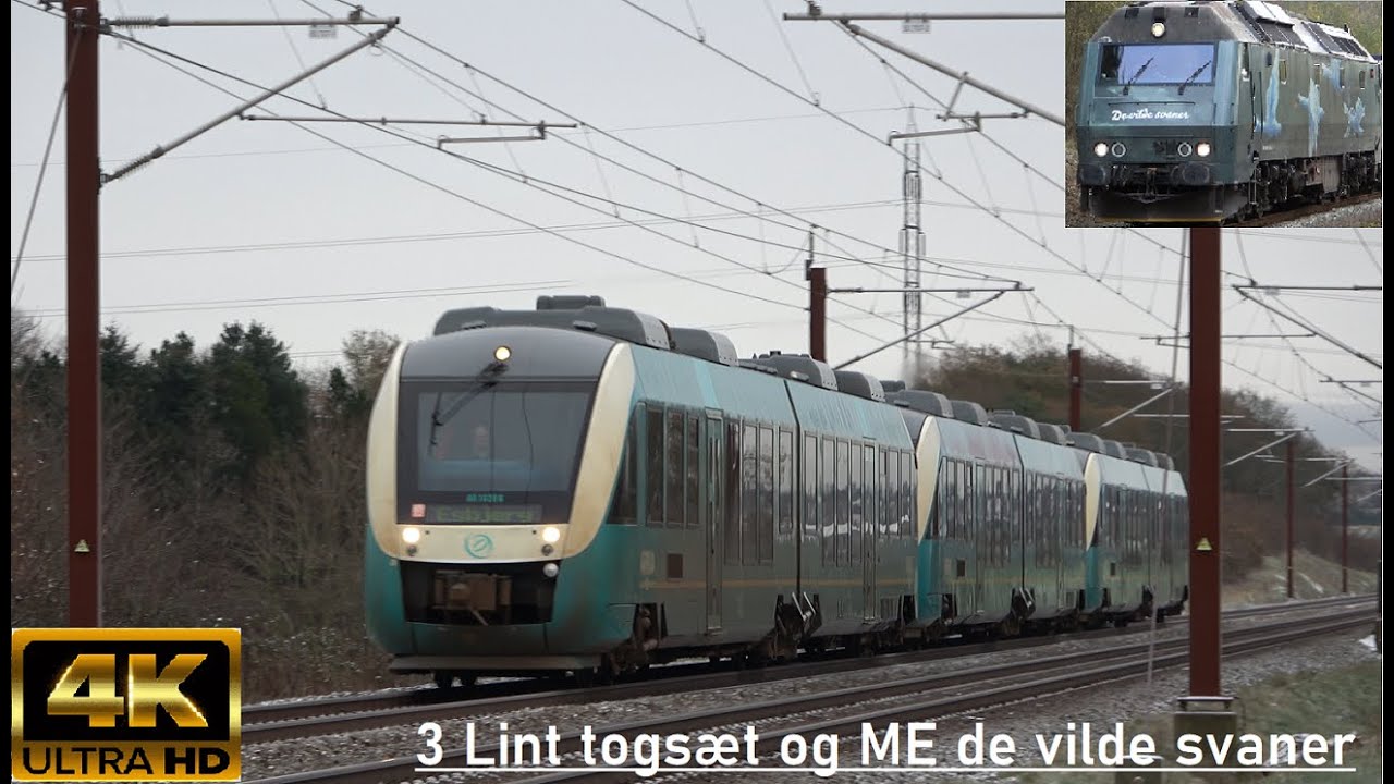 Tog i Danmark - Efter&aring;rs mix, 3 sammenkoblede Lint togs&aelig;t og ME1526 De vilde svaner.