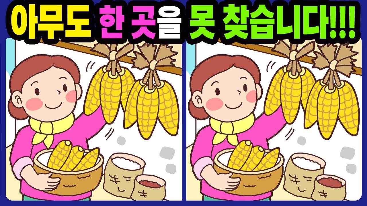 【다른그림찾기/치매예방】아무도 한 곳을 못 찾습니다!【틀린그림찾기/두뇌운동/숨은그림찾기/Find the Difference/치매예방퀴즈】856