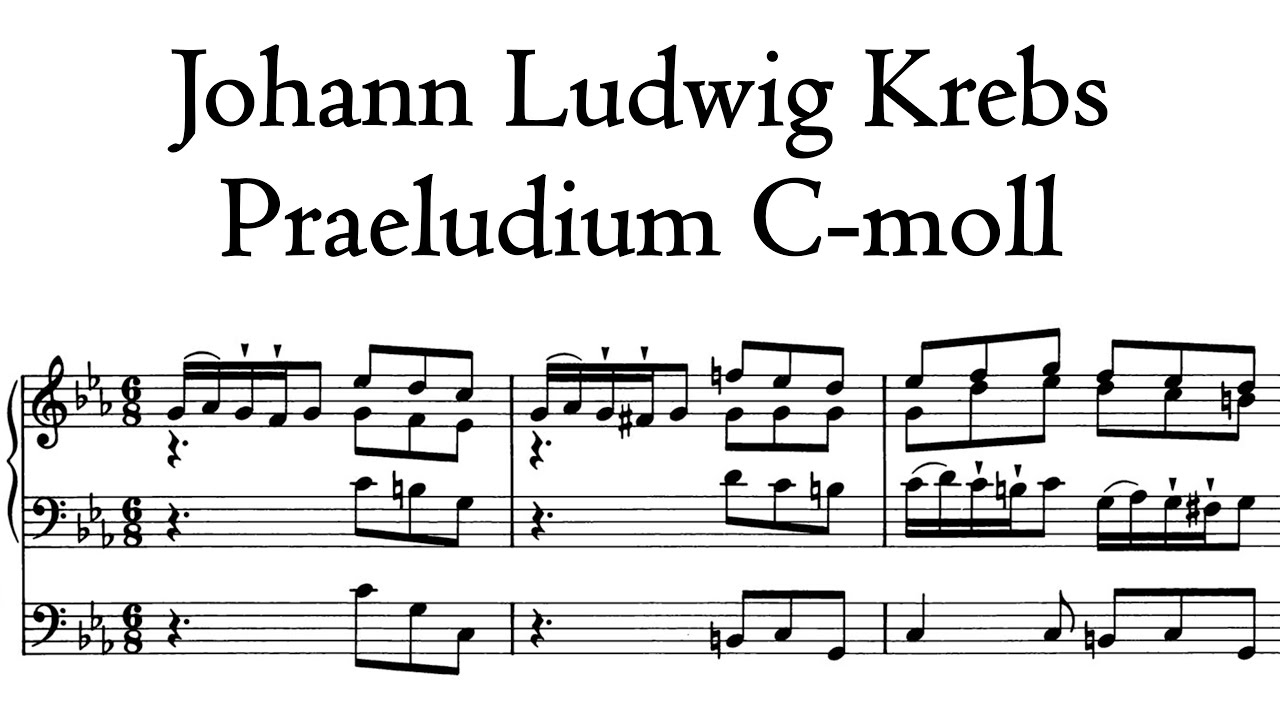 Krebs - Praeludium C-moll / C minor - Trost organ, Waltershausen, Hauptwerk