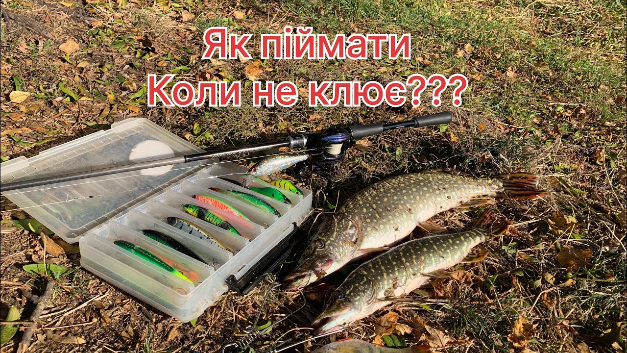 Ловля ЩУКИ з ЧОВНА на МАЛІЙ річці ✅рибалка на ВОБЛЕРИ в ОСЕНИ