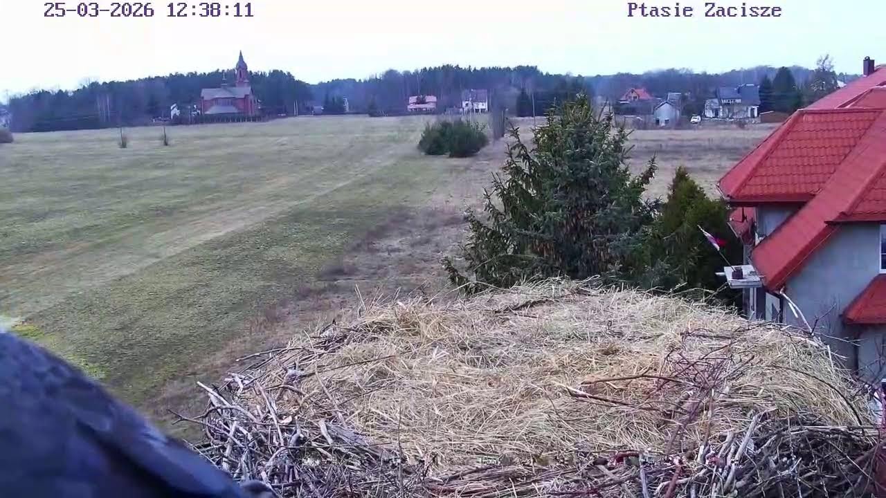 Gniazdo Bocianie -   Osti i Lenka