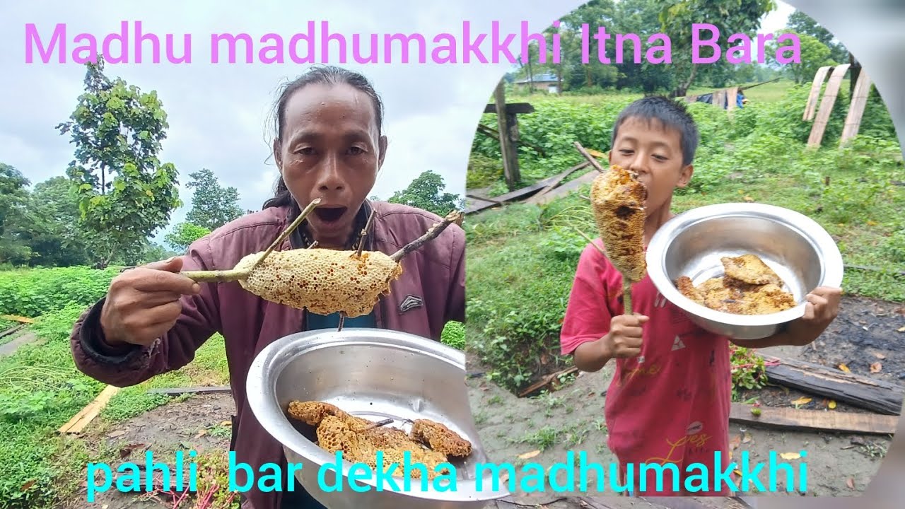 Madhu madhumakkhi Itna Bara || peeli bar dekha madhumakkhi || Sameer Rai vlogs