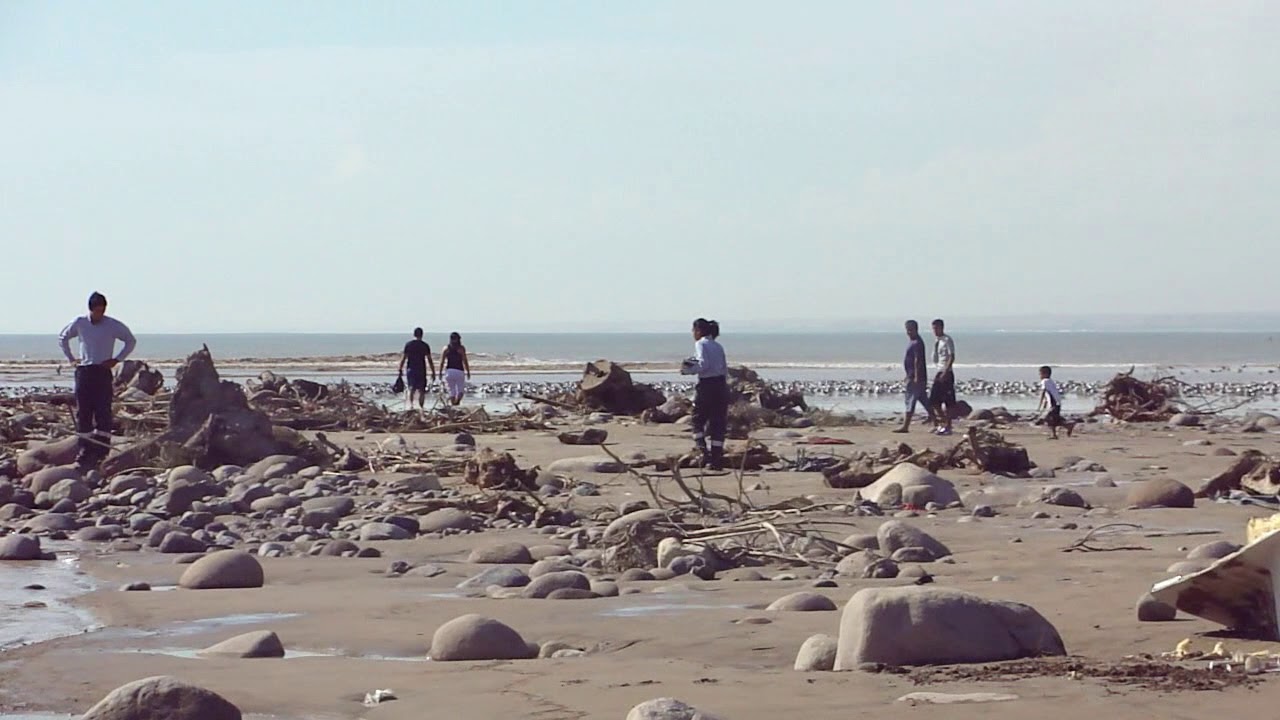 mediambiental