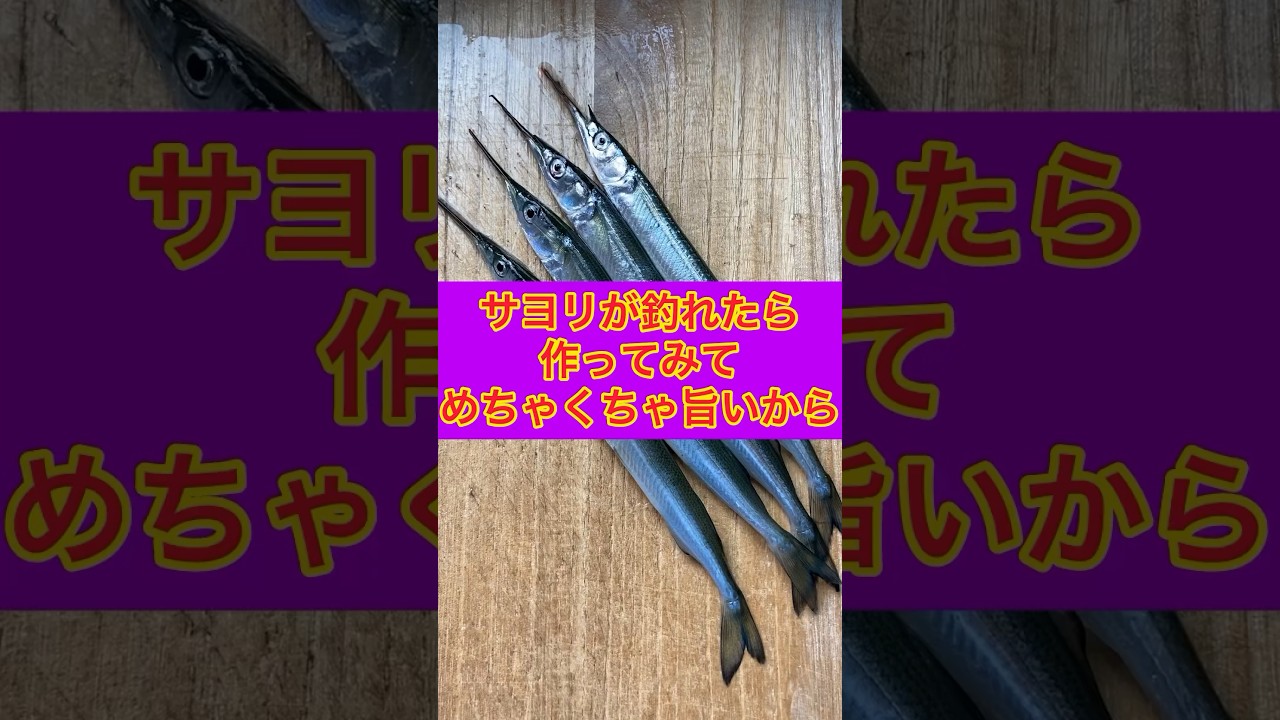 サヨリが釣れたら作ってみて、めちゃくちゃ旨いから（刺身）