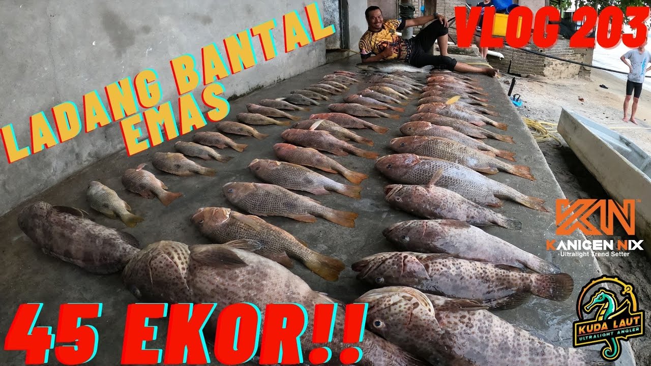 VLOG 203 | MENUAI HASIL LADANG JENAHAK | TRIP PENUTUP 2022 | PULAU PINANG
