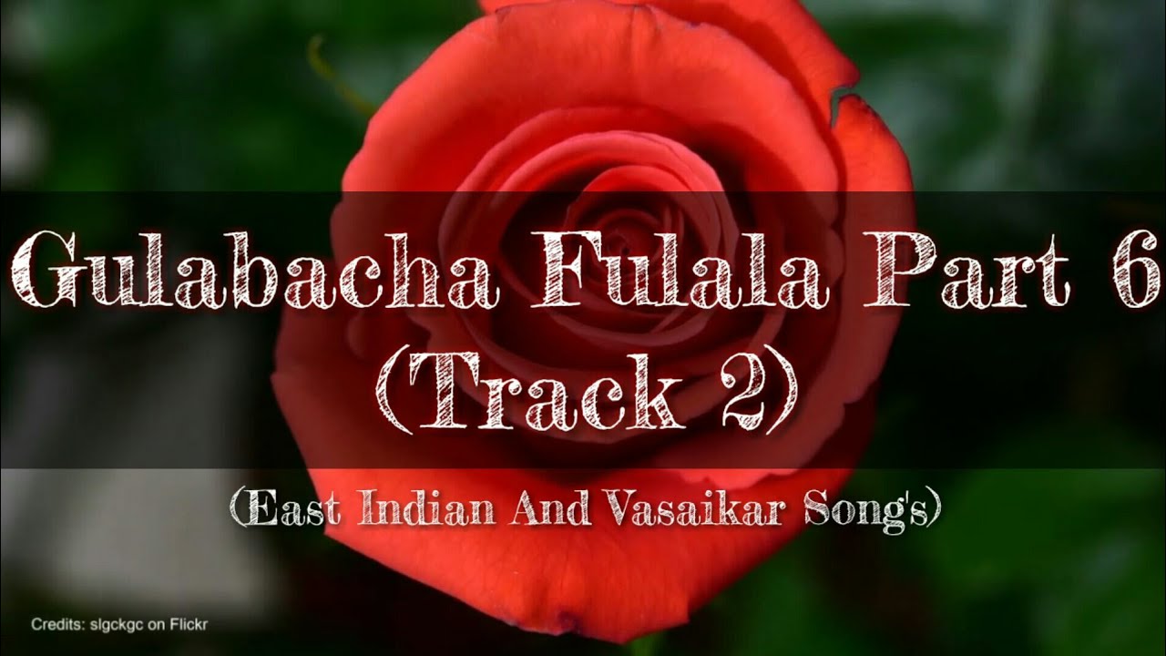 Gulabacha Fulala Part 6 (Track 2)
| Vasaikar Songs