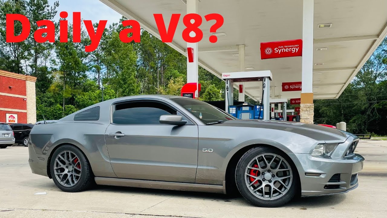 You NEED to Daily Drive a Mustang GT 5.0!