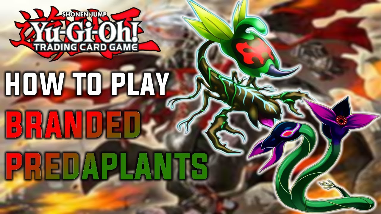 PLAY BRANDED COMPETITIVELY ON A BUDGET! Yu-Gi-Oh! Branded Predaplant Test Hands/Combo Tutorial