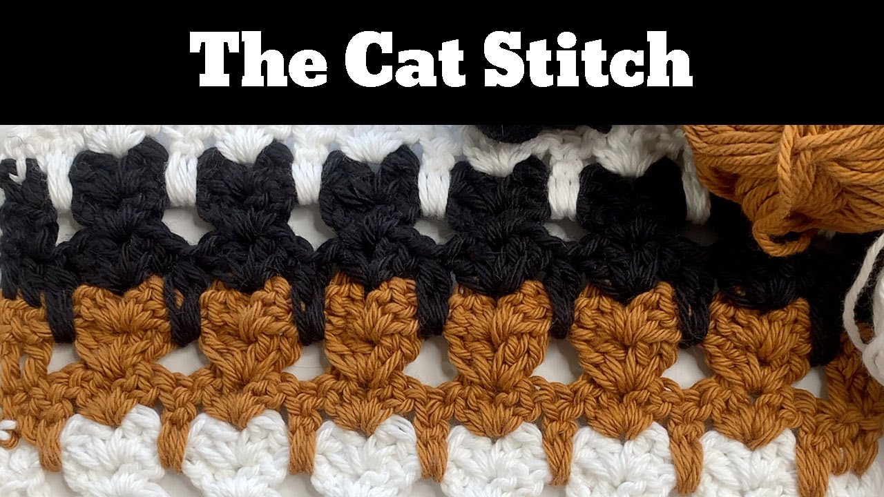 Crochet This Fun and Easy Cat Stitch!  😻