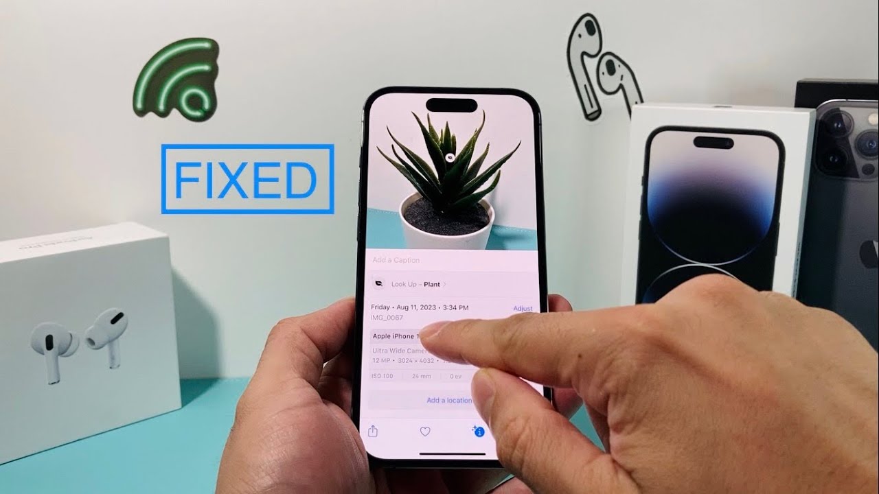 How to Fix Visual Lookup Not Working on iPhone / iPad