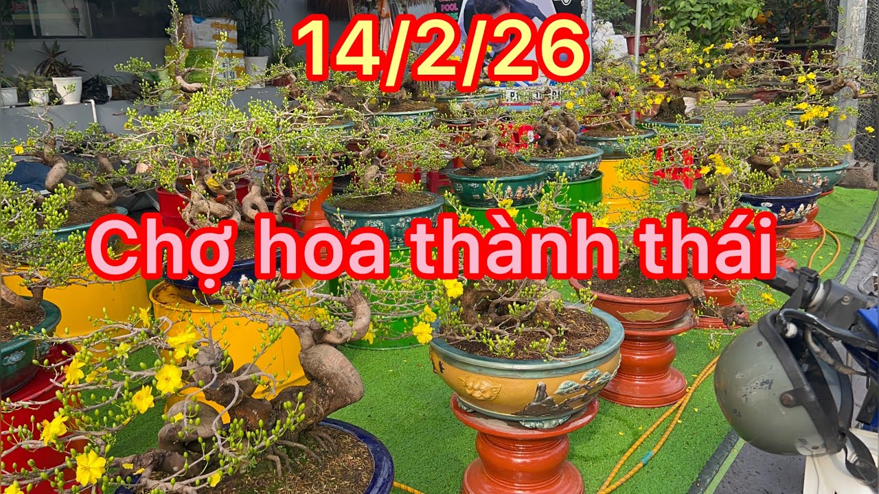 Chợ hoa đường thành thái (0399235790 thi)