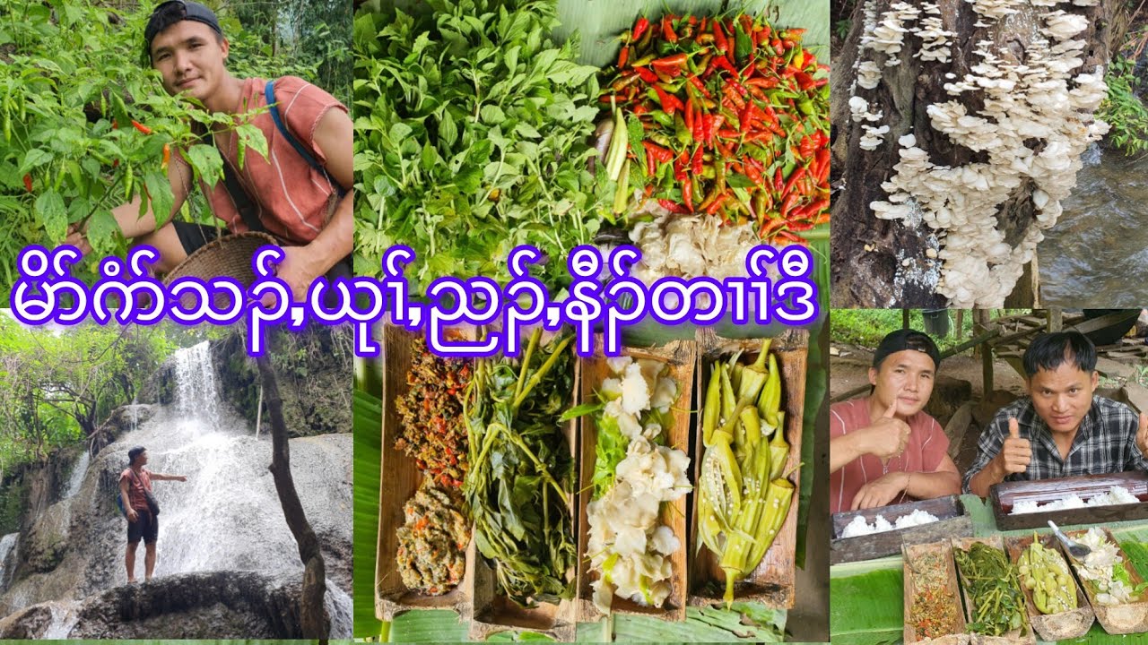 Fresh vegetables မိၣ်ဂံာ်ဘၢၣ်ဒီးယုၢ်ယဲၤ