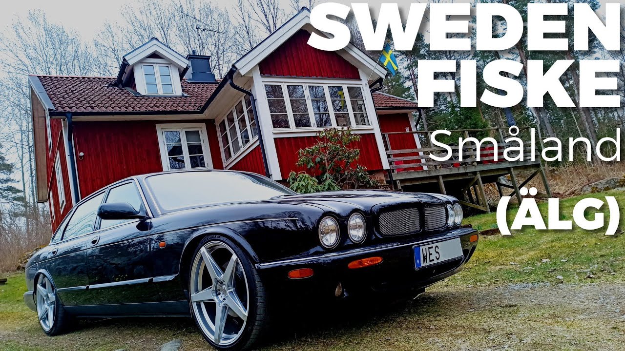 - Sweden Fiske - Eine Reise in die Wildnis von Småland / Hecht / Elche (ÄLG)