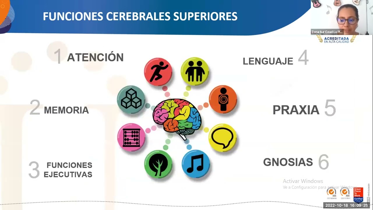 Web 2- neuropsicolog&iacute;a  funciones cerebrales superiores y Evaluaci&oacute;n cognitiva
