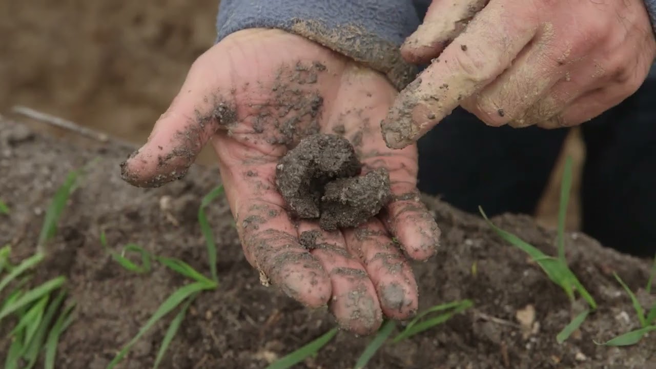 Soil texturing in the field