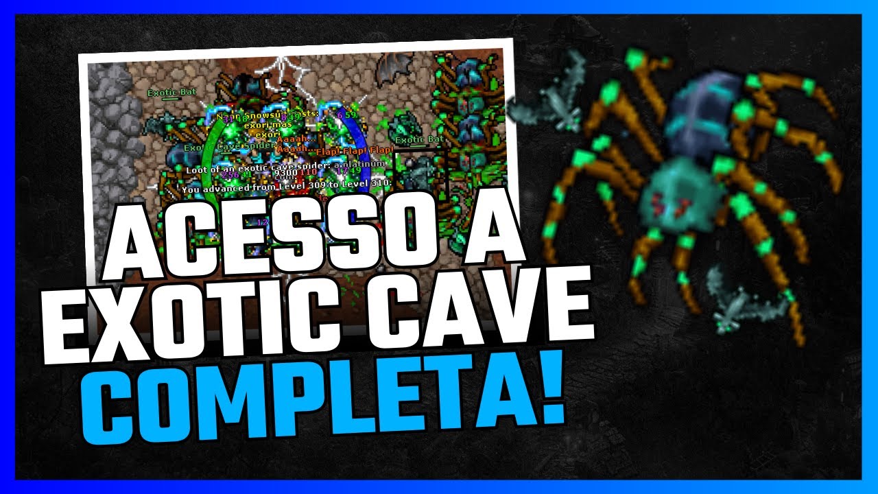 Desbloqueie a Exotic Cave no Tibia: Guia Definitivo da Pirate's Tail Quest!