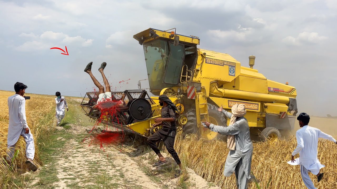 Combine Wheat Harvester Full Working Video 2026 | Professional Harvesting 4K