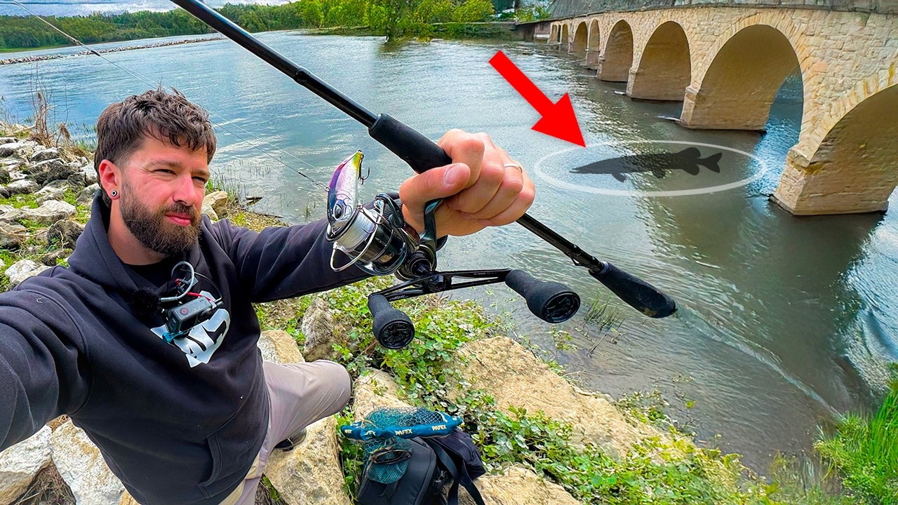 Exploration de la Loire : Je n’étais PAS prêt pour ce poisson-là ! Pêche aux leurres du bord