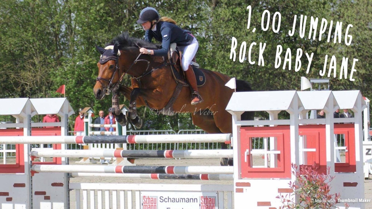 1,00 Equestrian Centre de Peelbergen Baby