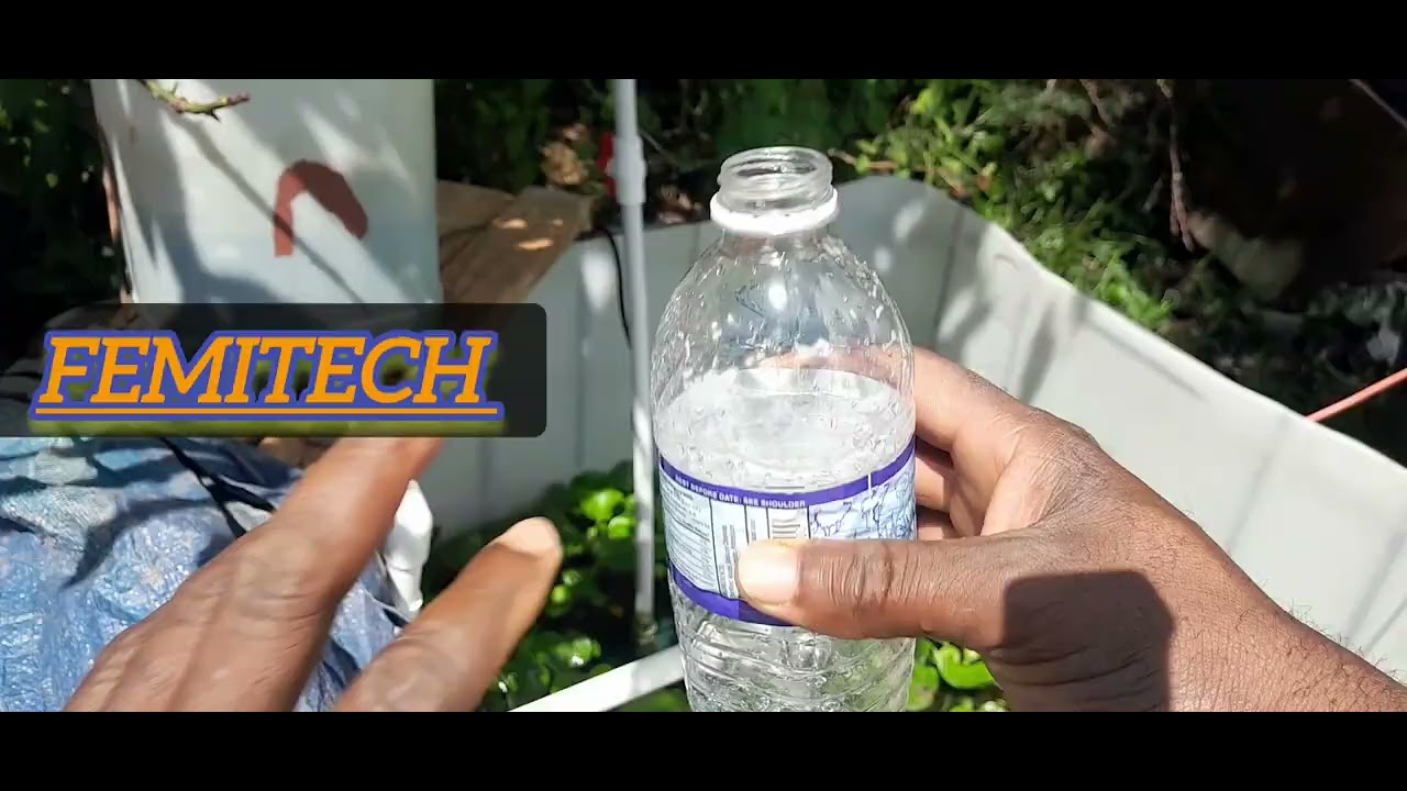 Simple Tilapia Fish Filter System 