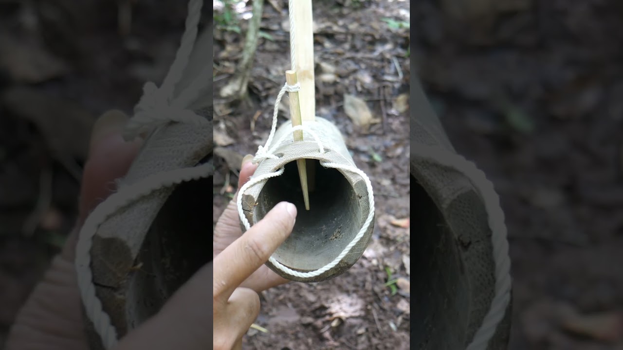 making bamboo trap