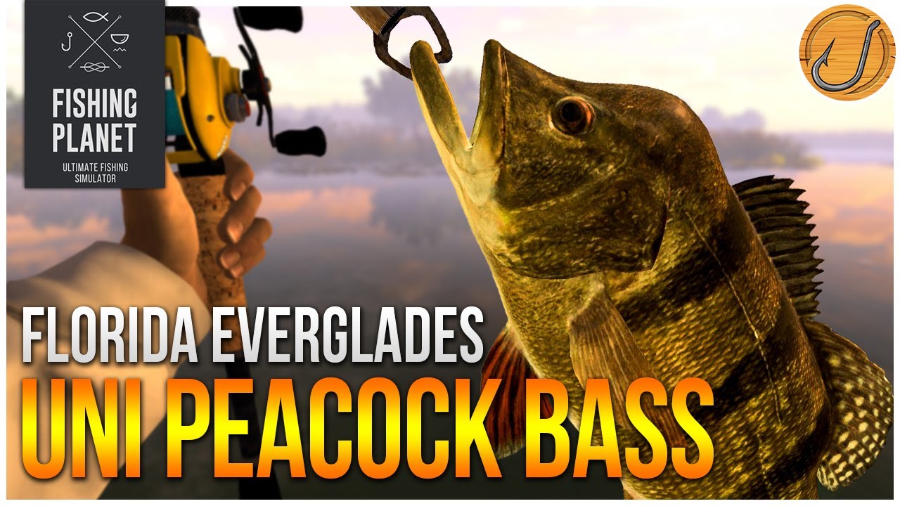 Unique Butterfly Peacock Bass of Everglades! | (Fishing Planet: Test Your Spot Series!)