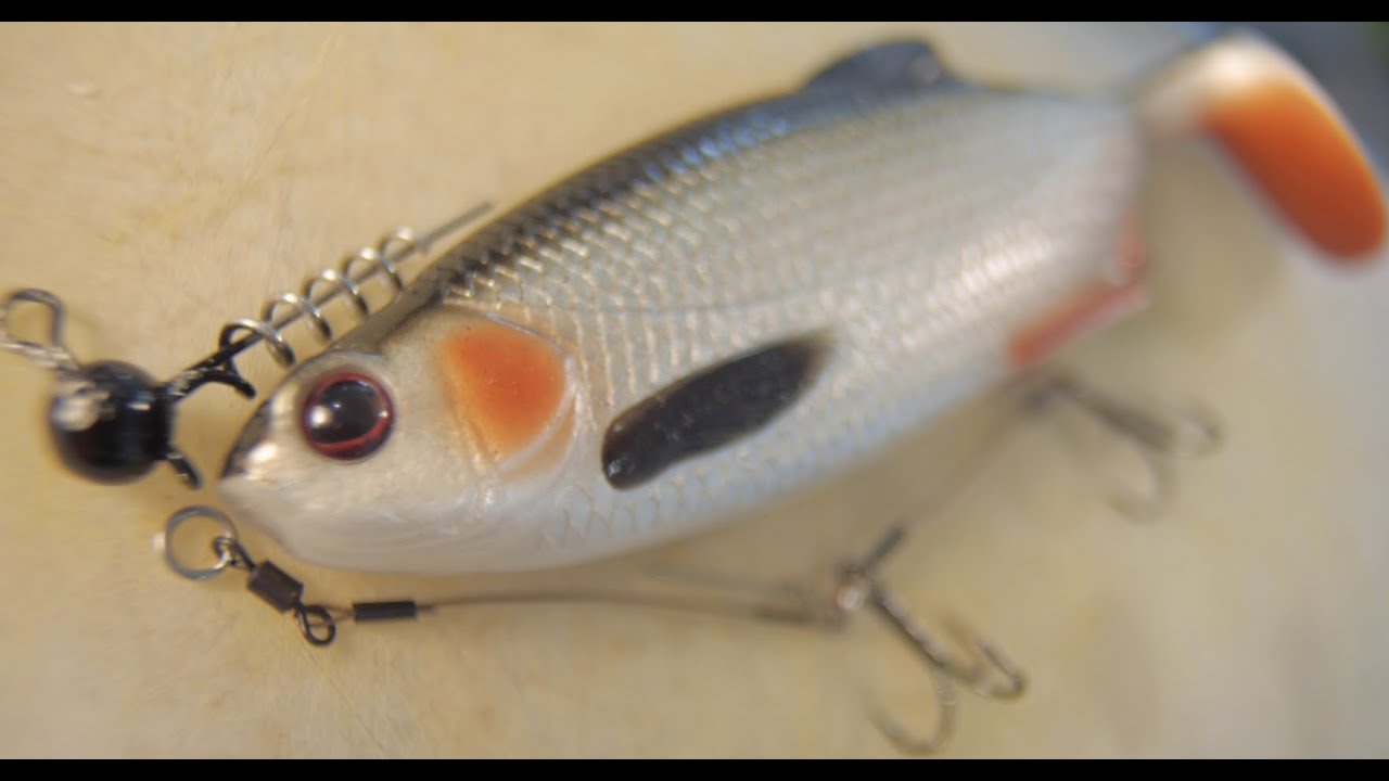 WESTIN RICKY THE ROACH 18cm / WESTIN SHAD TEEZ 19cm | how to rig