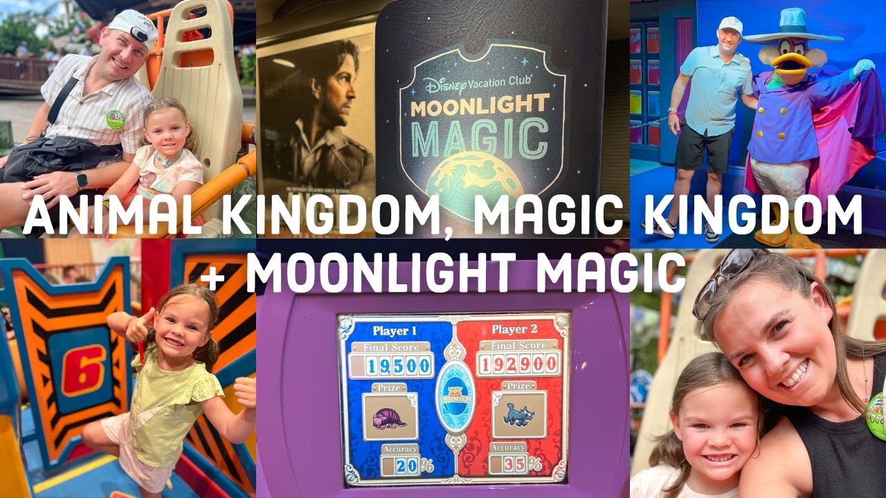 День рождения Disney! | 3 Park PLUS Moon Light Magic