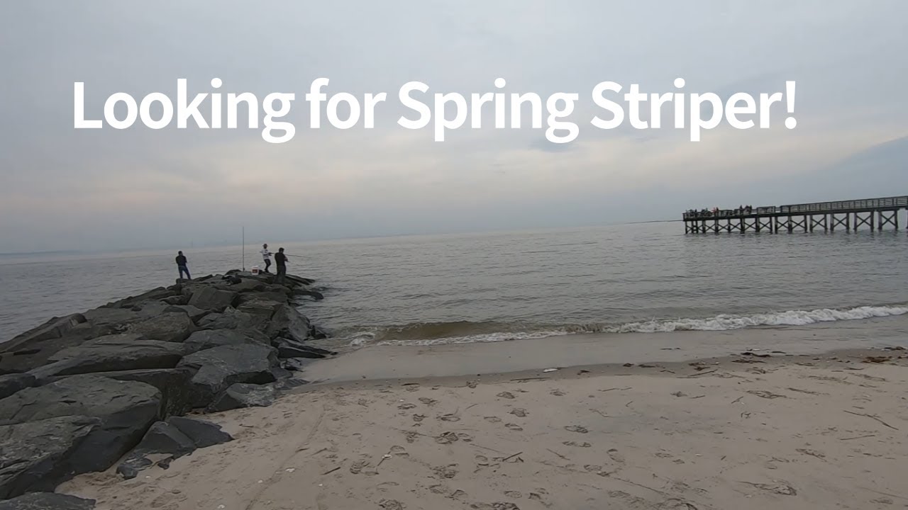 New Jersey Surf fishing for Spring Striper(Striped Bass), Bayshore Waterfront Park3, April 28, 2021