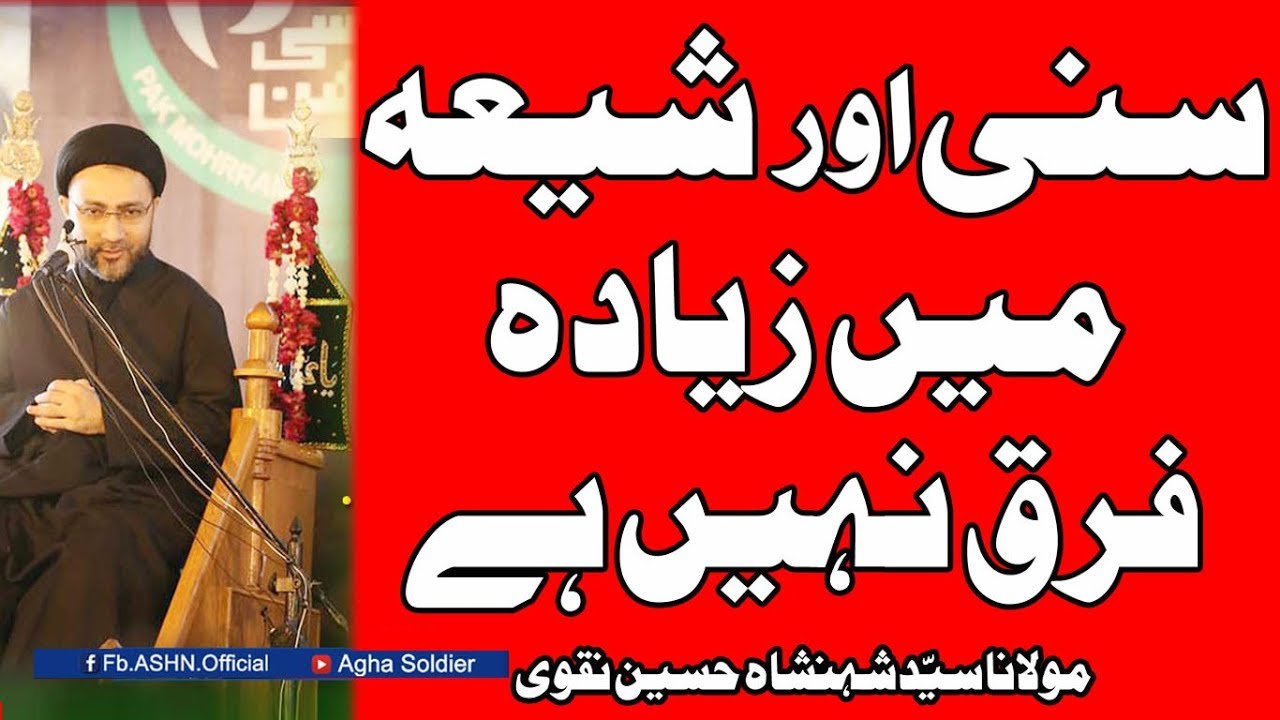 ALLAMA SHAHENSHAH HUSSAIN NAQVI | SHIA SUNNI ME ZYADA FARQ NAHI HAI | MEMORABLE WORDS OF ALLAMA