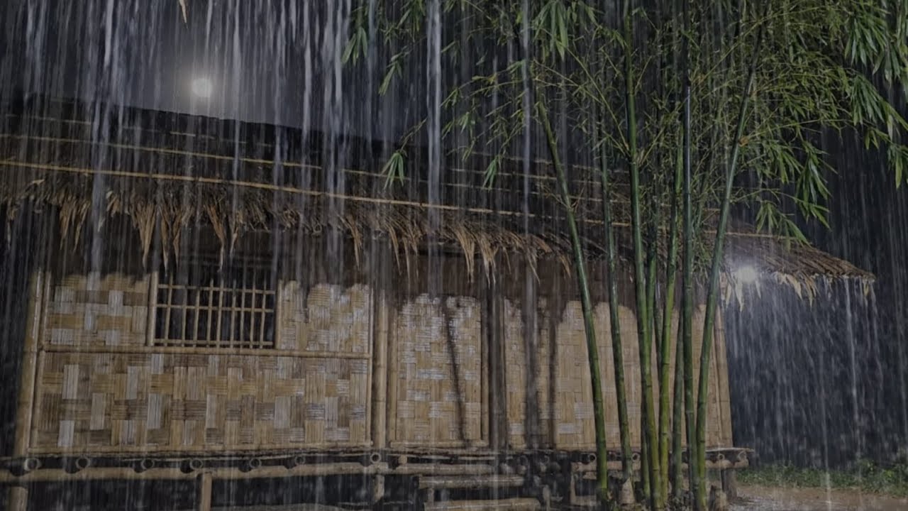 🔴 Heavy Night Rain Beside a Bamboo House 🌧️ Extremely Heavy Rain Sounds for Deep Sleep