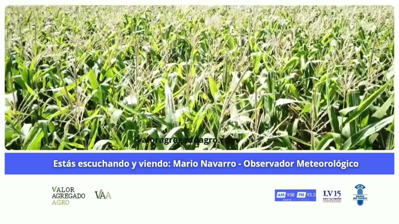 Lluvias y tormentas en el centro del país: Mario Navarro anticipa inestabilidad y aporte hídrico