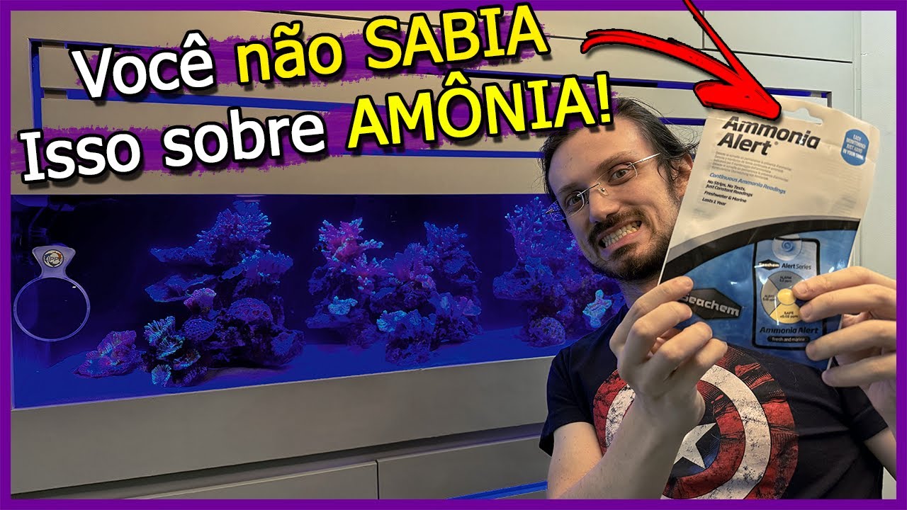 Aprenda Tudo sobre AMÔNIA no AQUÁRIO!