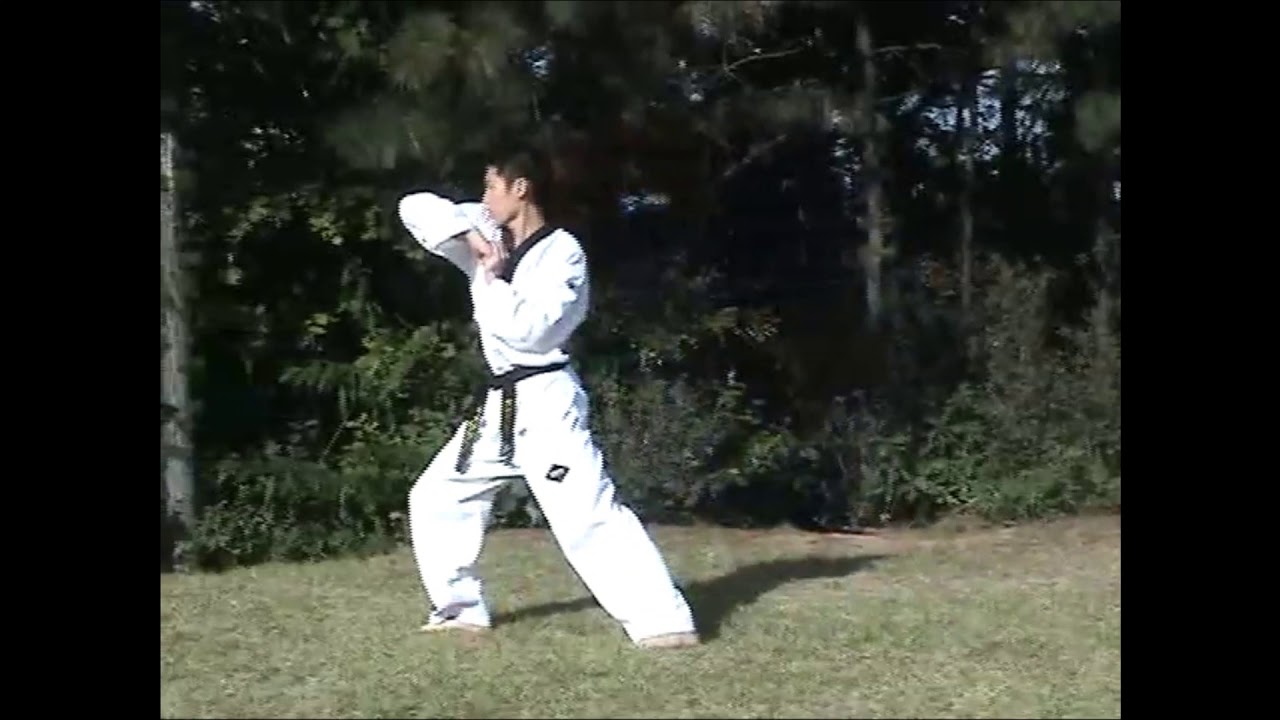 Taekwondo Taeguk Chapter 5 태권도 태극 5장