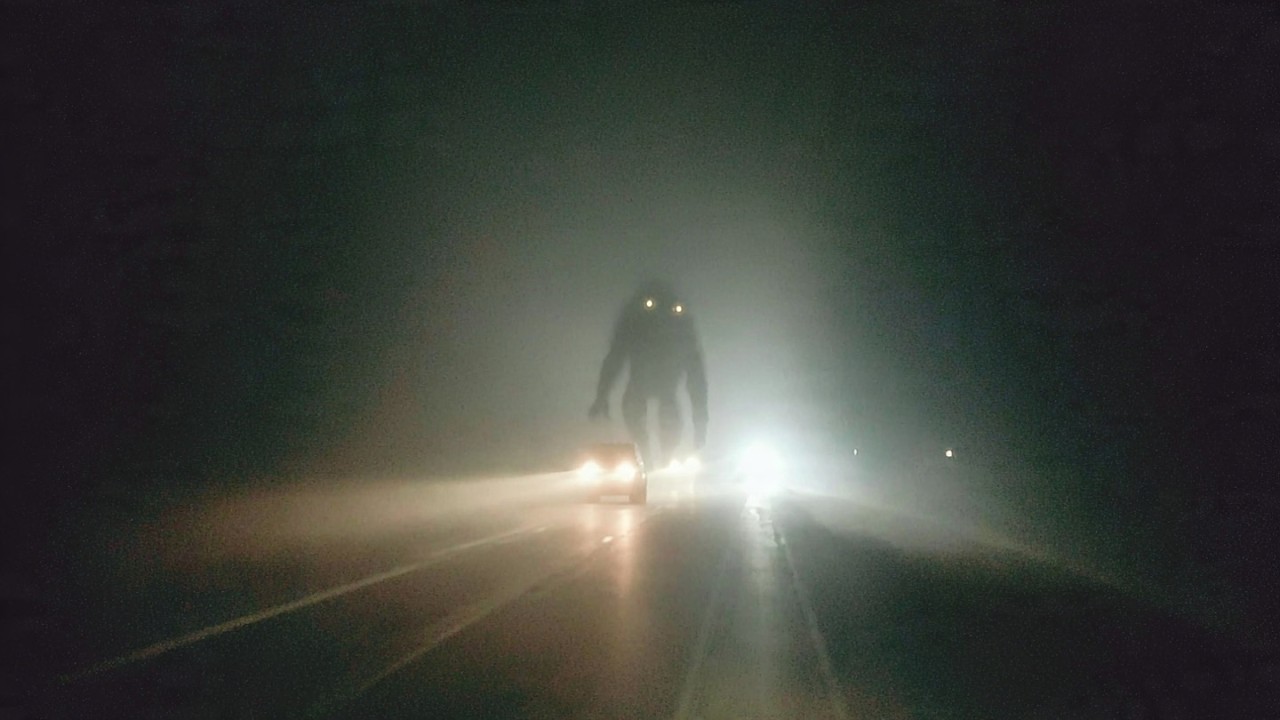 A ESTRADA PARAVA QUANDO A FERA APARECIA